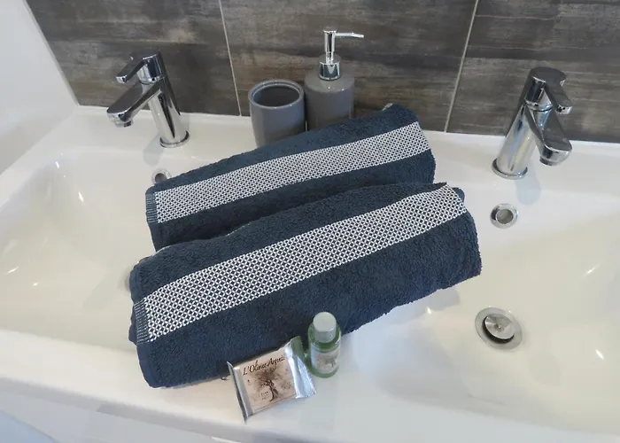 Les Jardins D'oc ٭ ٭ Wifi ٭jardin ٭t3 Neuf